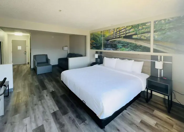 Clarion Pointe Albemarle