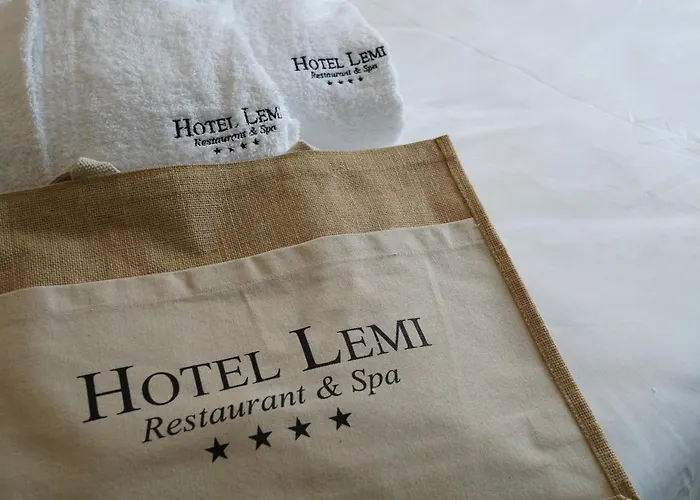 Hotel Lemi