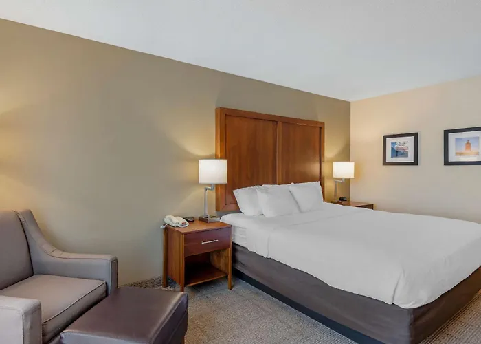 Comfort Inn & Suites Dover Near Speedway