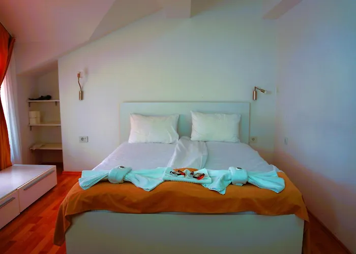 Ammotti Hotel
