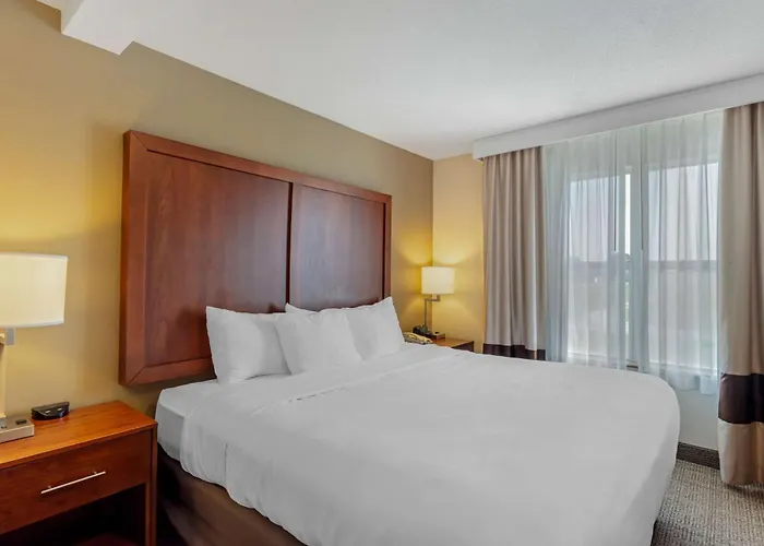 Comfort Inn & Suites Dover Near Speedway