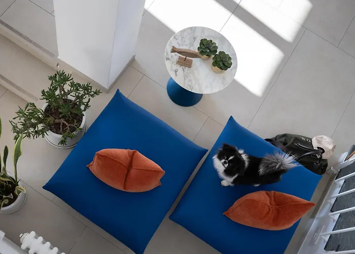 Hotel Venere Azzurra