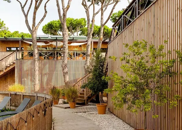 Apartamentos Biopasivos Living Pura Madera