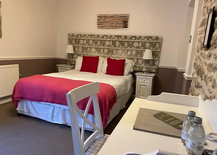 Oyo New Inn Hotel