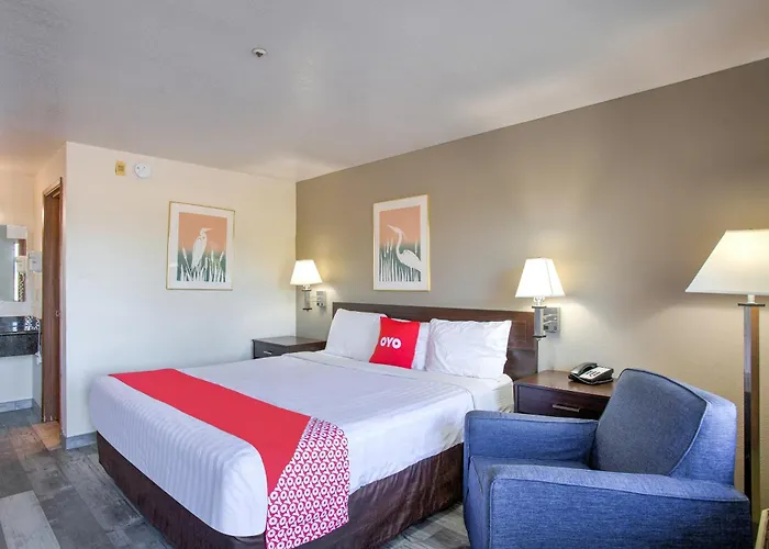 Oyo Woodland Hotel And Suites
