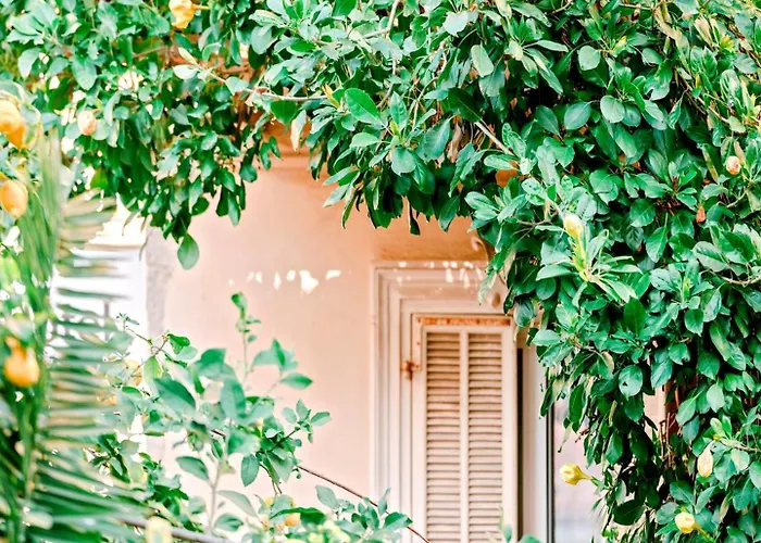 Hotel Lemon