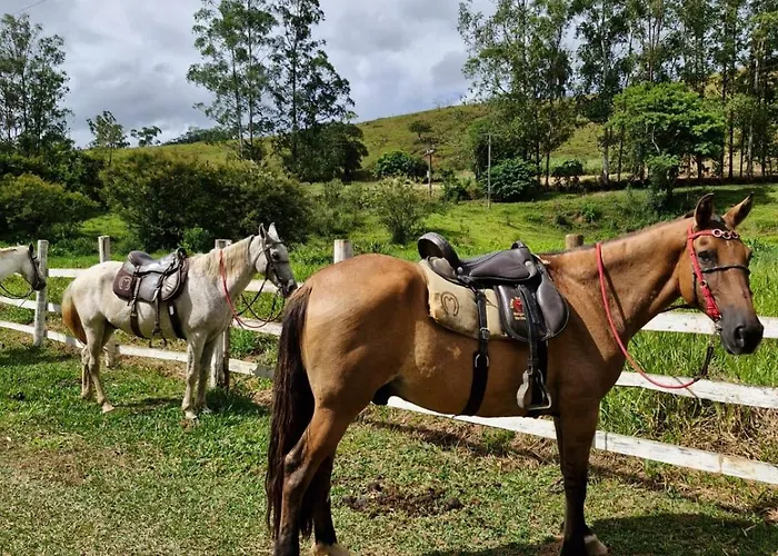 Pousada Fazenda e Pesqueiro Chalé da serra