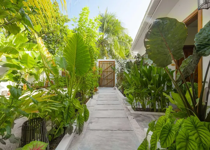 Oasis Dhigurah