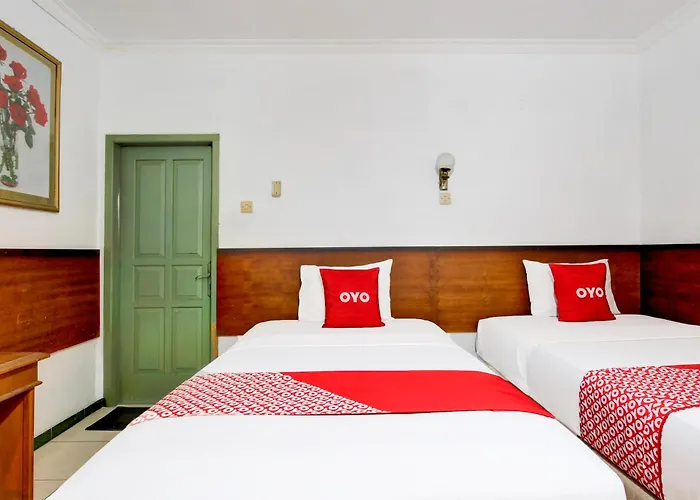 Hotel O Gurita