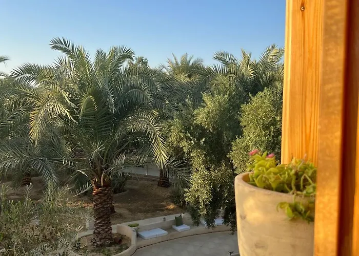 Meddur Siwa Oasis