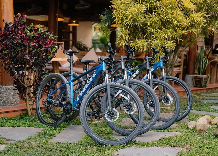 Anans Home Ha Giang - Tours & Motorbike Rental