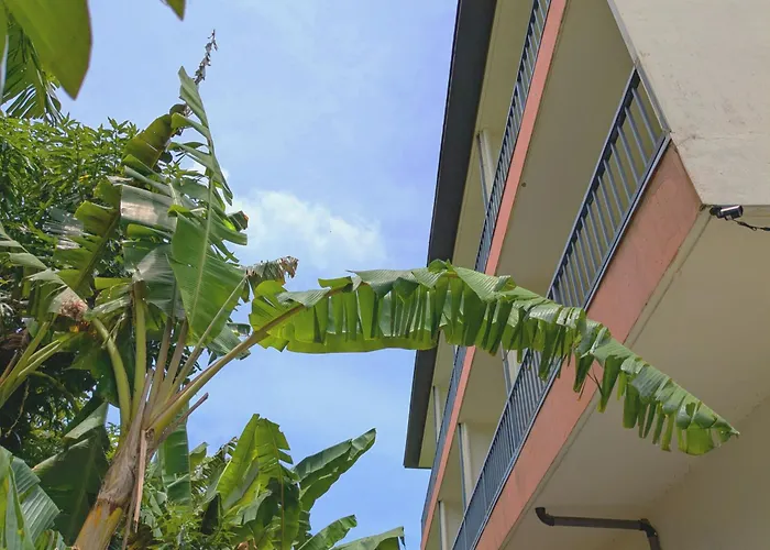 Garden Palace Downtown Koror