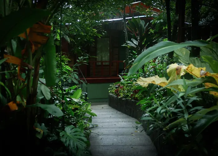 Jaguarundi Lodge - Monteverde