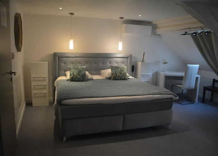 Hotel Spa Au Cheval Blanc - Chambres Climatisees