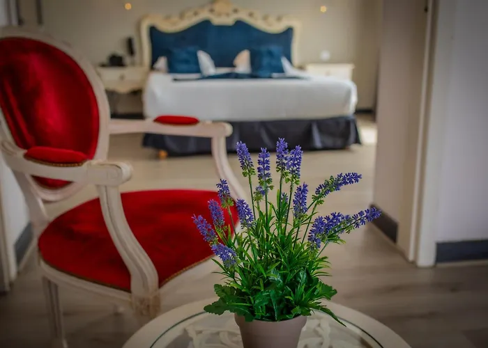 Alexain Hotel Restaurant&Wellness - Colmar Ouest