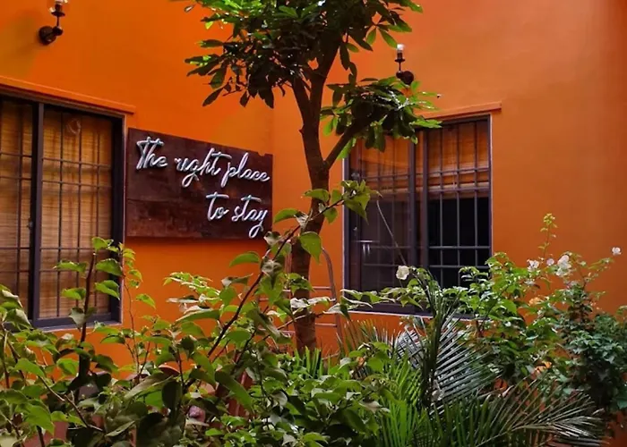 Chi Hieu Homestay