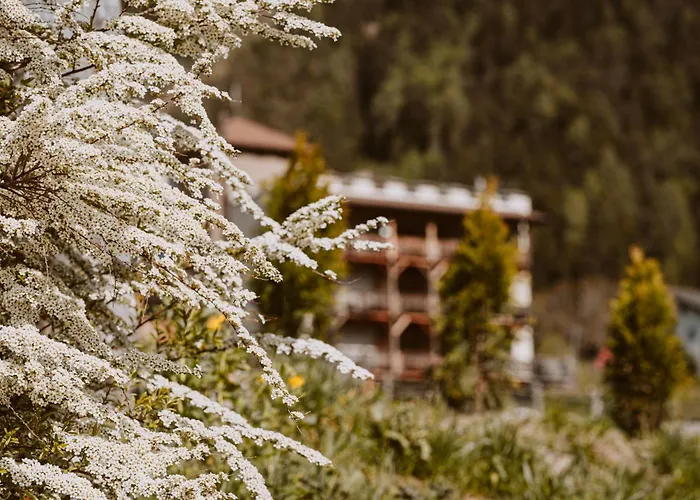 Hotel Bergschlössl