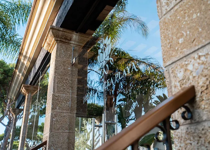Hotel Azalea Playa