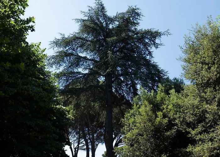 Relais Albalonga