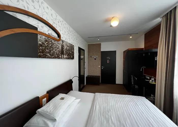 H+ Hotel Ried