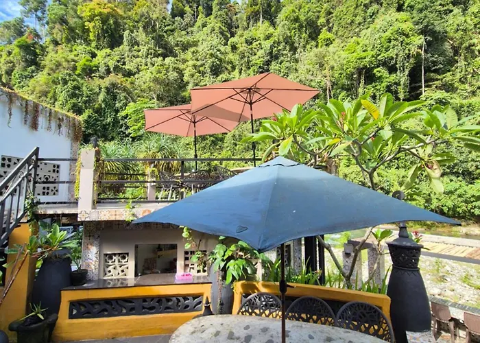 Jungle Inn Bukit Lawang