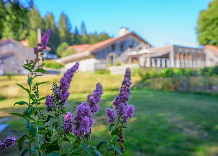 Auberge De La Poulcière Gérardmer