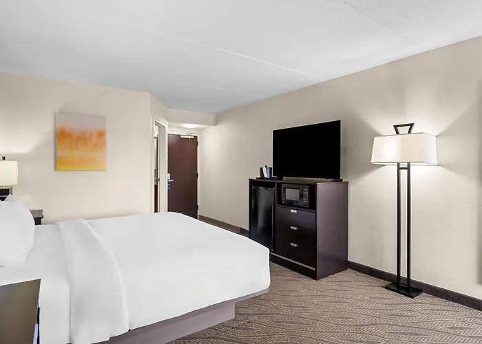 Comfort Inn Cadillac