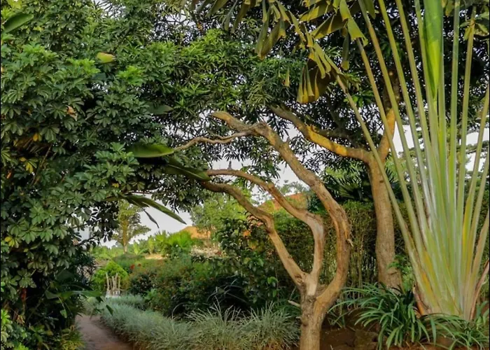 La Roza Resort Masaka