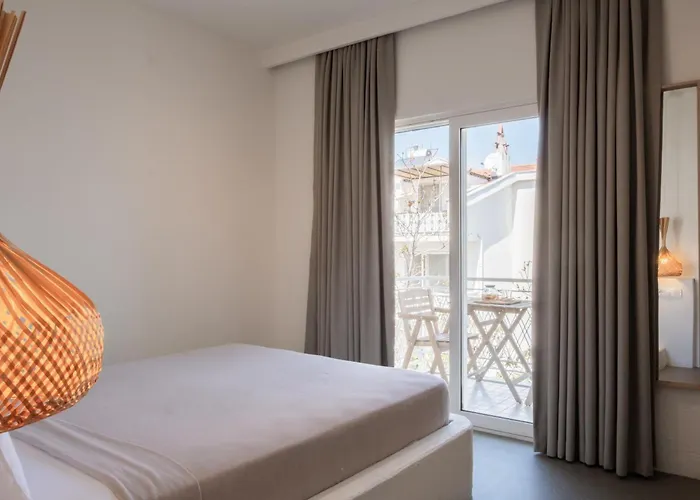 L'Olive Homes