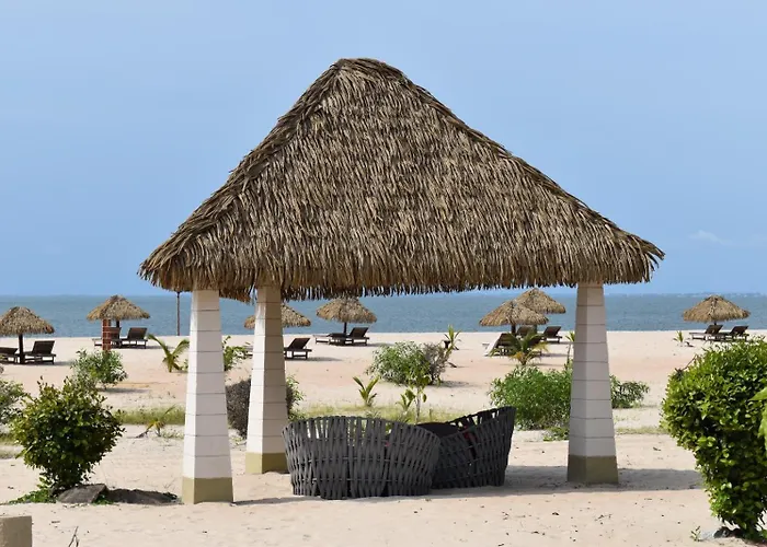 La Baie des Tortues Luth