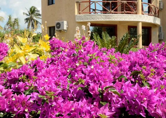 Kae Beach Resorts