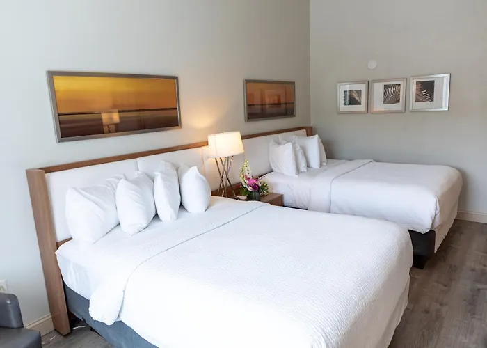 Iris Hotel Cape Cod