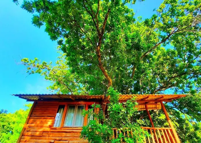 Tree House 4 Nature Lovers