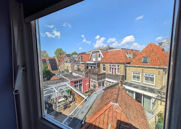 WitteZwaan