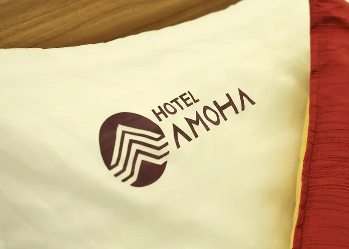 Hotel Amoha