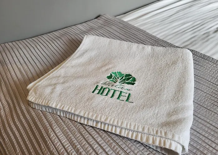 Hotel Platan