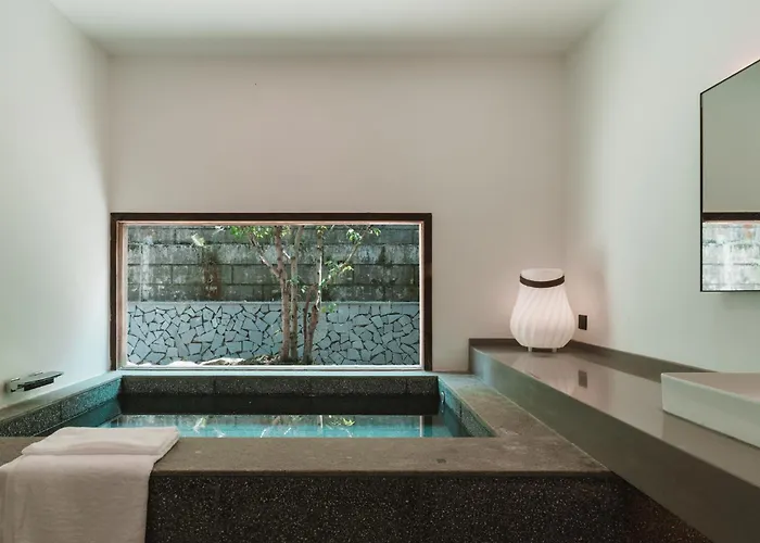 Yunxi Chanyi Forest Soup Spring Resort Hotel ,Provides Pick-Up Service And Tea Leaves,Drink Chinese Wild Tea Leaves