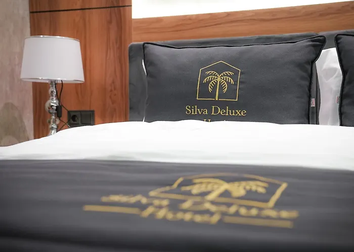 Silva Deluxe Hotel
