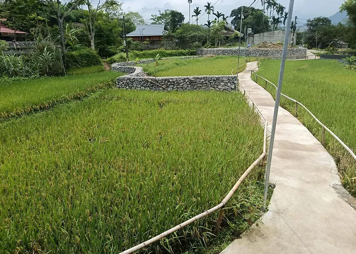 Little Tay Homestay & Hostel