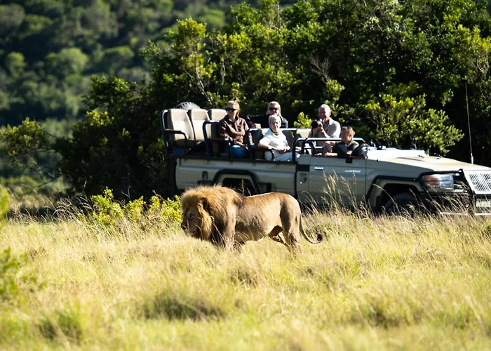 Lalibela Wildlife Reserve - Inzolo Lodge