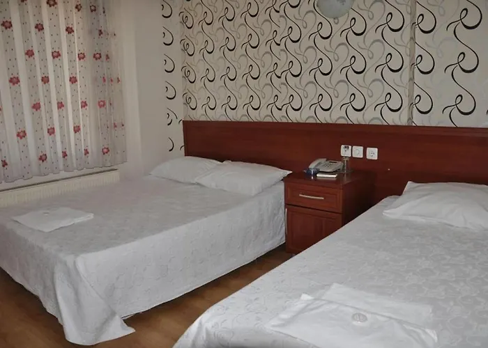 Sahin Otel1