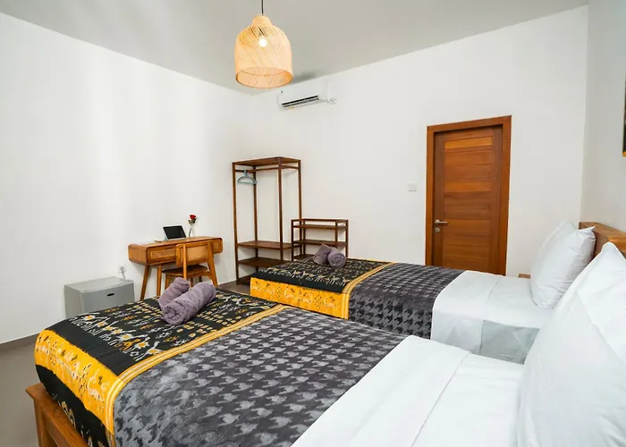 Zena Surf Suite
