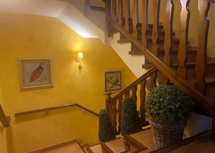 Hotel Colomers