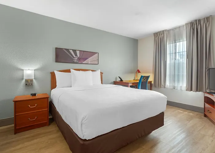 Mainstay Suites Tampa Moffitt-Usf