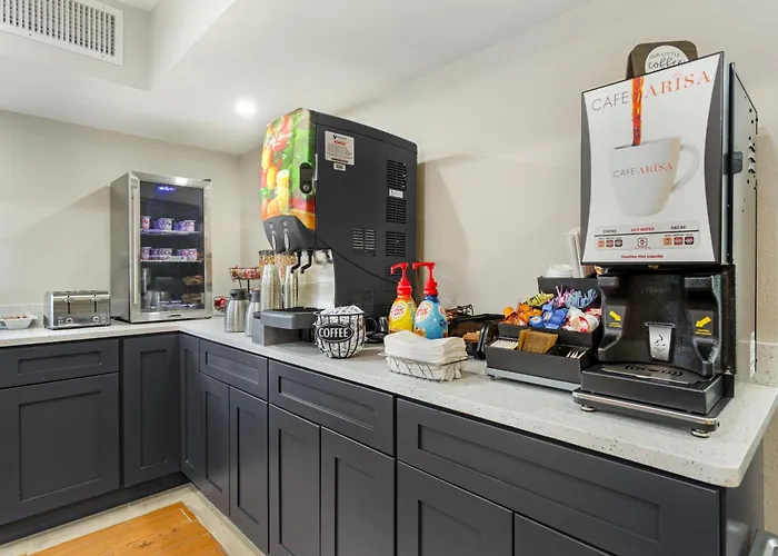 Mainstay Suites Tampa Moffitt-Usf