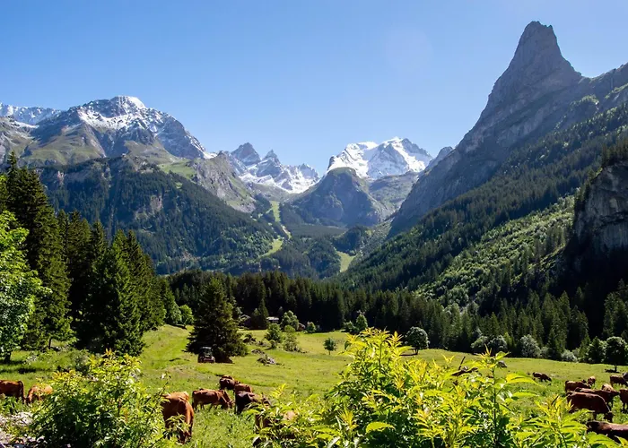 Chalet Hotel Les Airelles