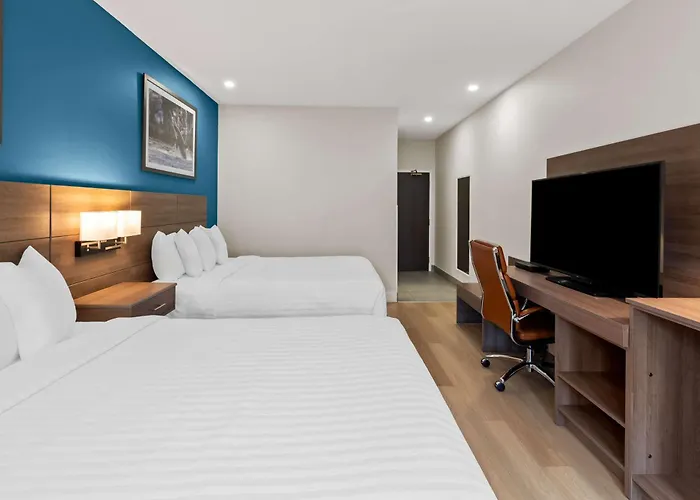 Hotel Feng, BW Signature Collection