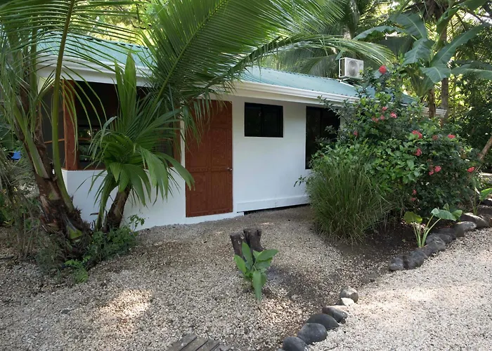 Jungles Edge Hotel, Jiu Jitsu, Muay Thai Retreat Center Nosara
