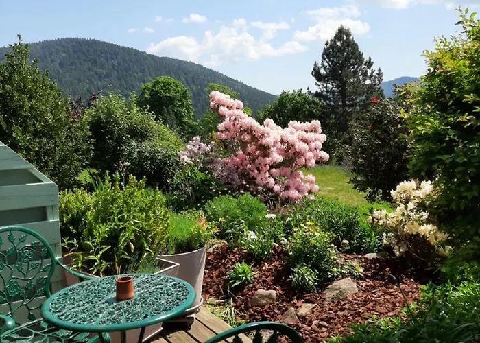 B&B Chalet l'Epinette Gérardmer