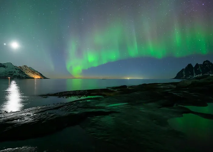 Northern Light Hotell/Camp Steinfjord
